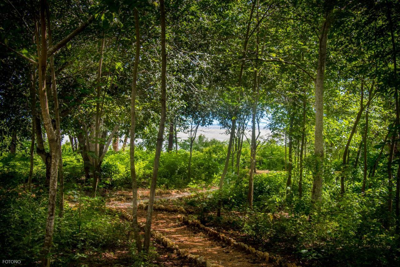 Готель Cayuco Camping Baru Santa Ana  Екстер'єр фото